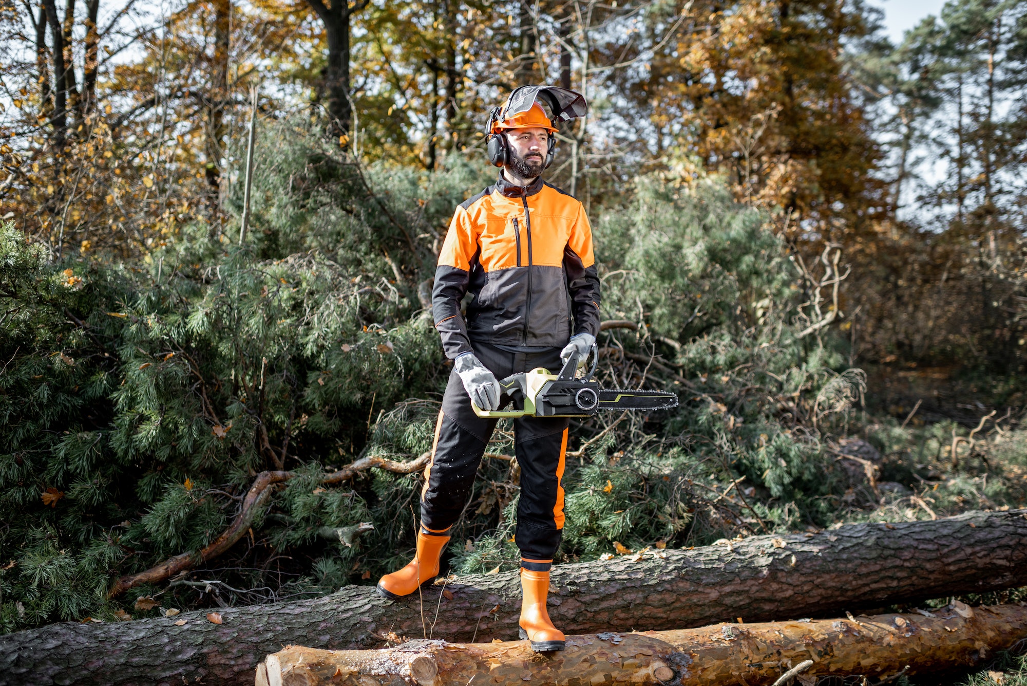 Professional lumberjack with chainsaw in the forest