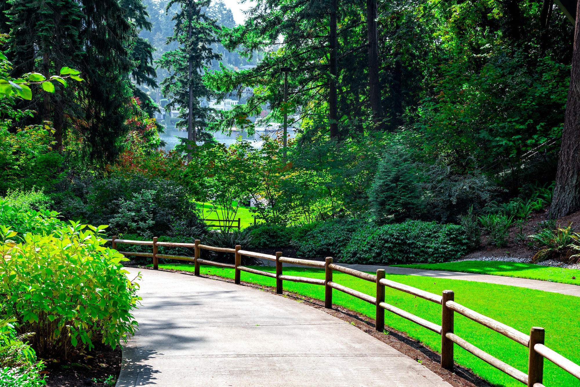 A beautiful wooden fence running along a paved driveway through lush green lawn and tree landscaping